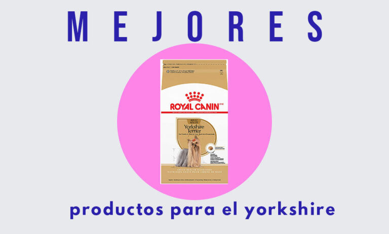 productos para el pelo del yorkshire