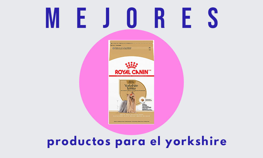 productos para el pelo del yorkshire